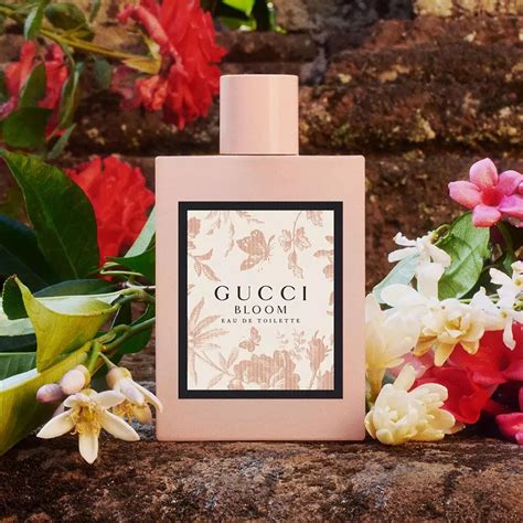 bloom gucci perfume review|gucci bloom smells like.